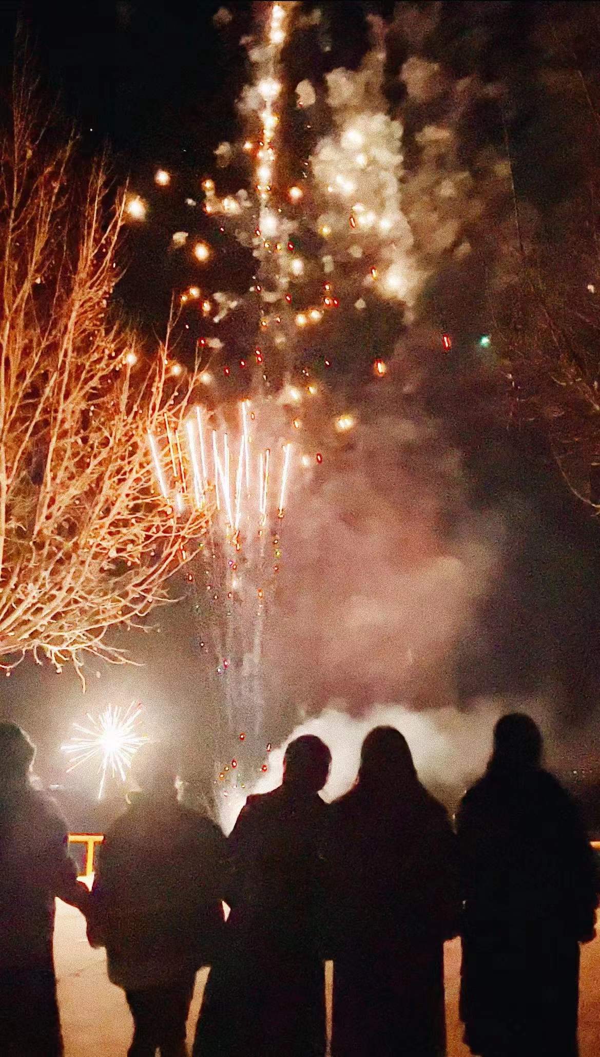 ������ζ�Ļ� ����.jpg