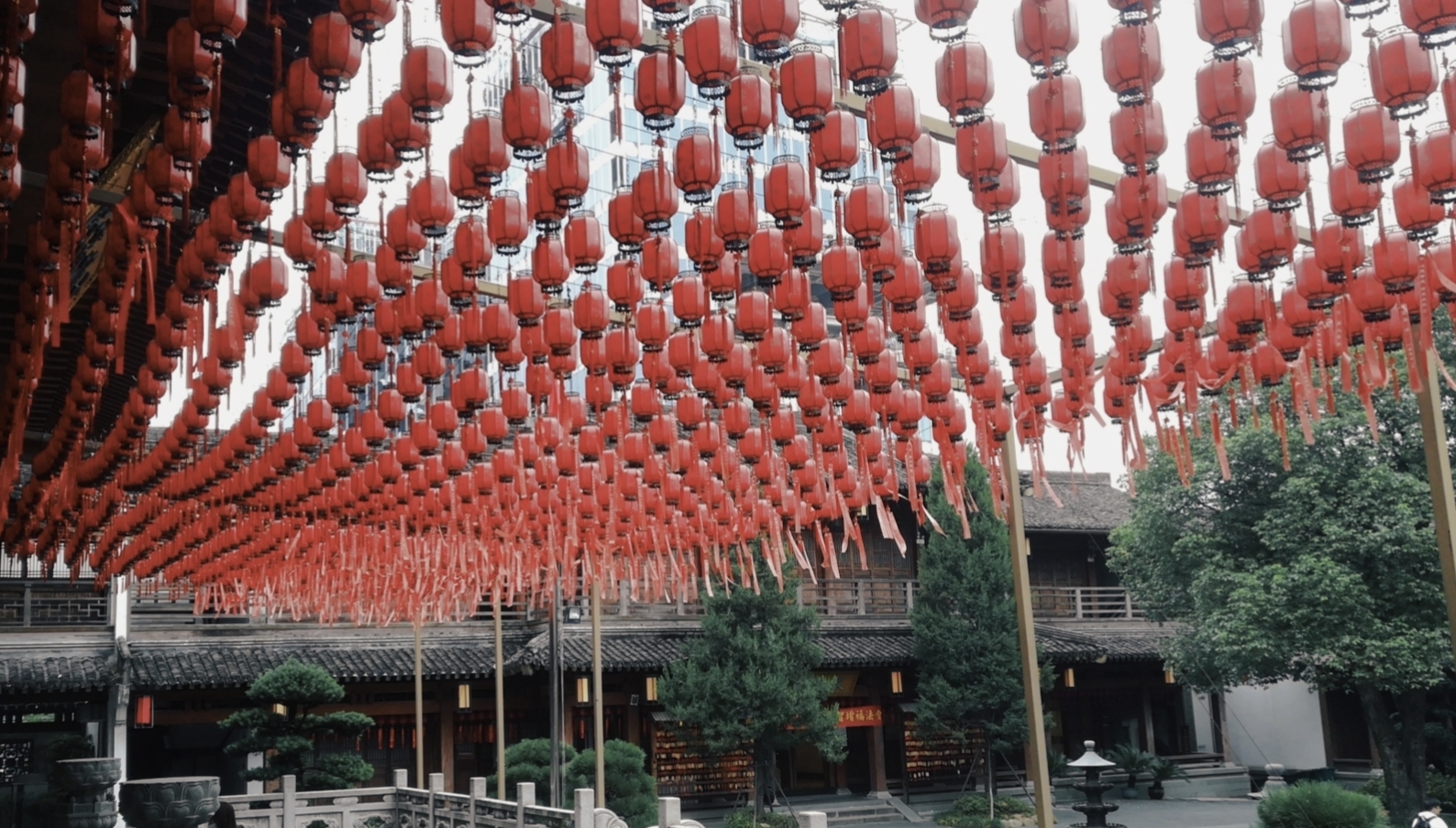 ���� �����.jpg